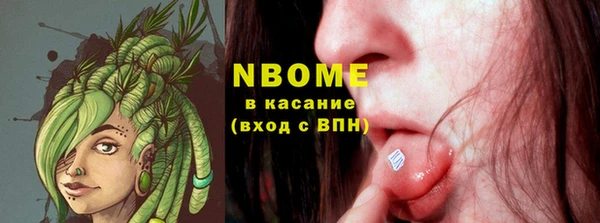 твердый Елизово