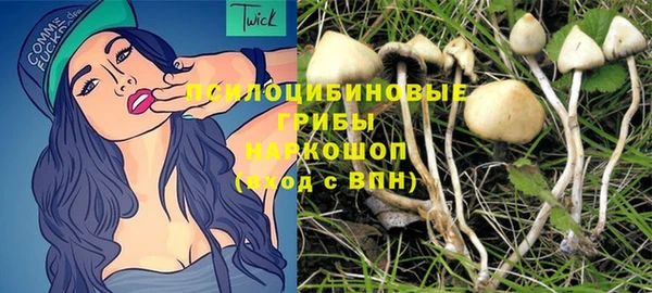 твердый Елизово