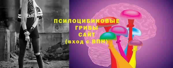 тгк Елабуга