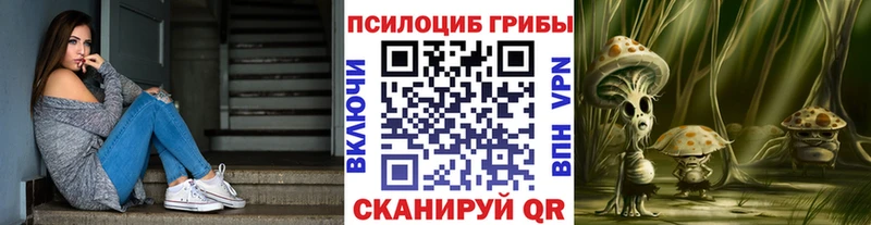 Псилоцибиновые грибы Psilocybine cubensis  Купить закладки  Горячий Ключ 
